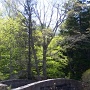 Petit pont au Jordan Pond